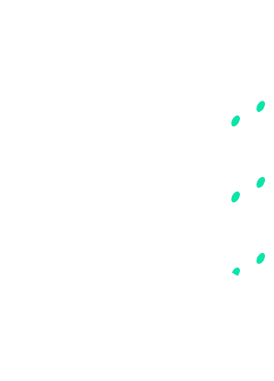 Server Infrastructure
